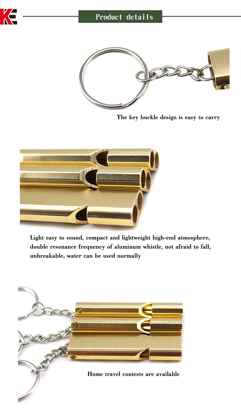High frequency dual chamber survival sentry